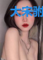 大宋驸马的幸福生活