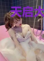 天启大帝之铁匠皇帝朱由校