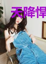 天降悍妻：王妃升职记
