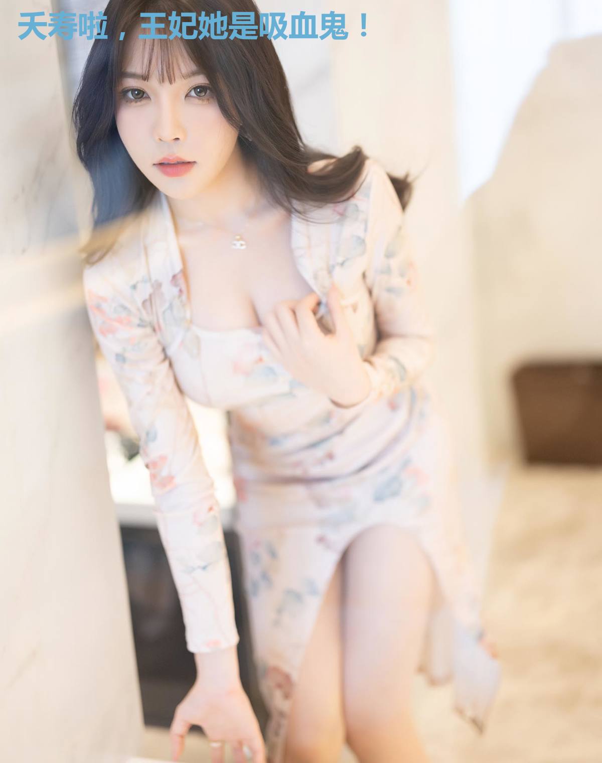 夭寿啦,王妃她是吸血鬼!