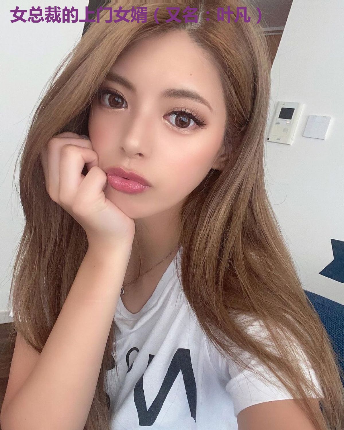 女总裁的上门女婿(又名:叶凡)
