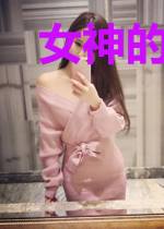 女神的贴身特工苏婉儿
