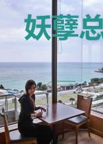 妖孽总裁花式追妻