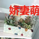 娇妻萌宝宠翻天沈妖妖穆锦扬