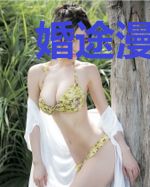 婚途漫漫:霍先生,求放过