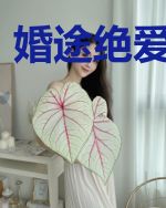 婚途绝爱延灏远