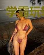 学霸玩转大明
