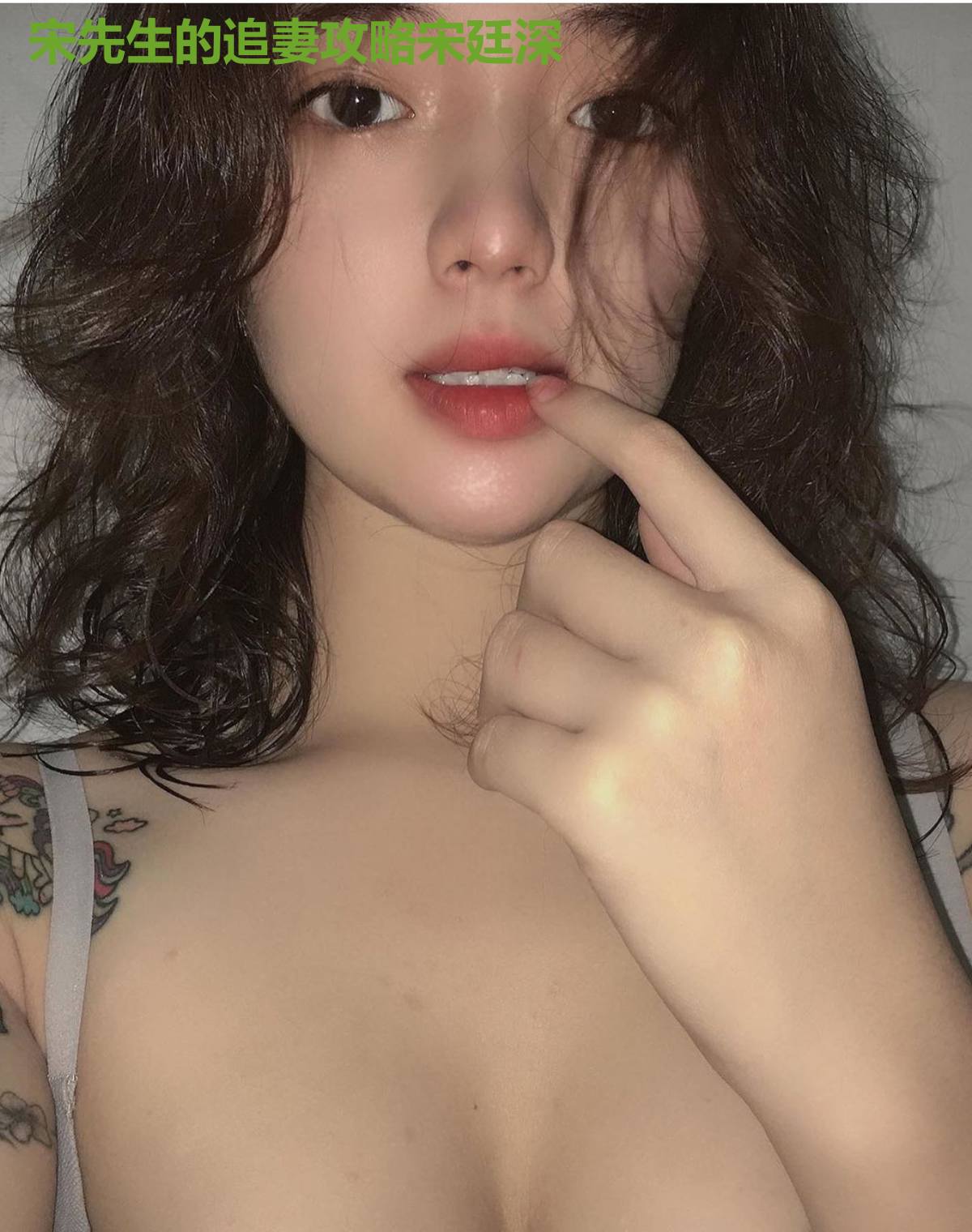 宋先生的追妻攻略宋廷深