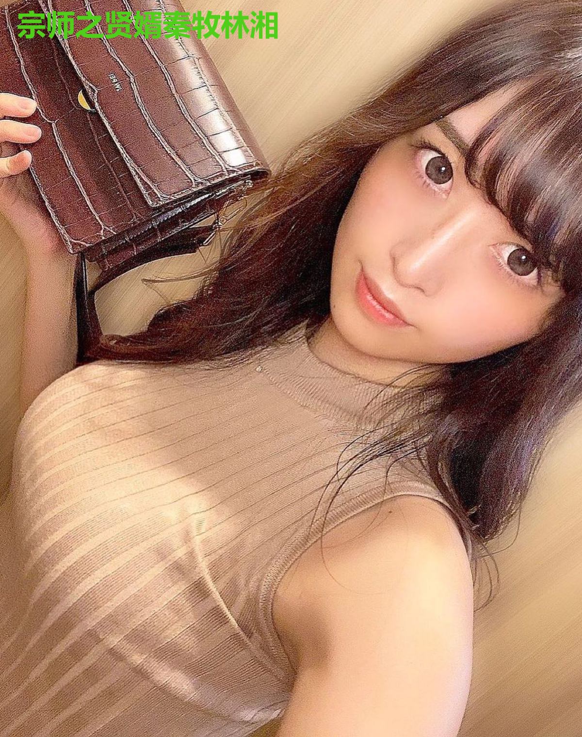 宗师之贤婿秦牧林湘