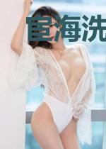 宦海洗剑录