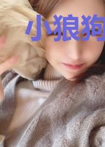 小狼狗喜欢我怎么办