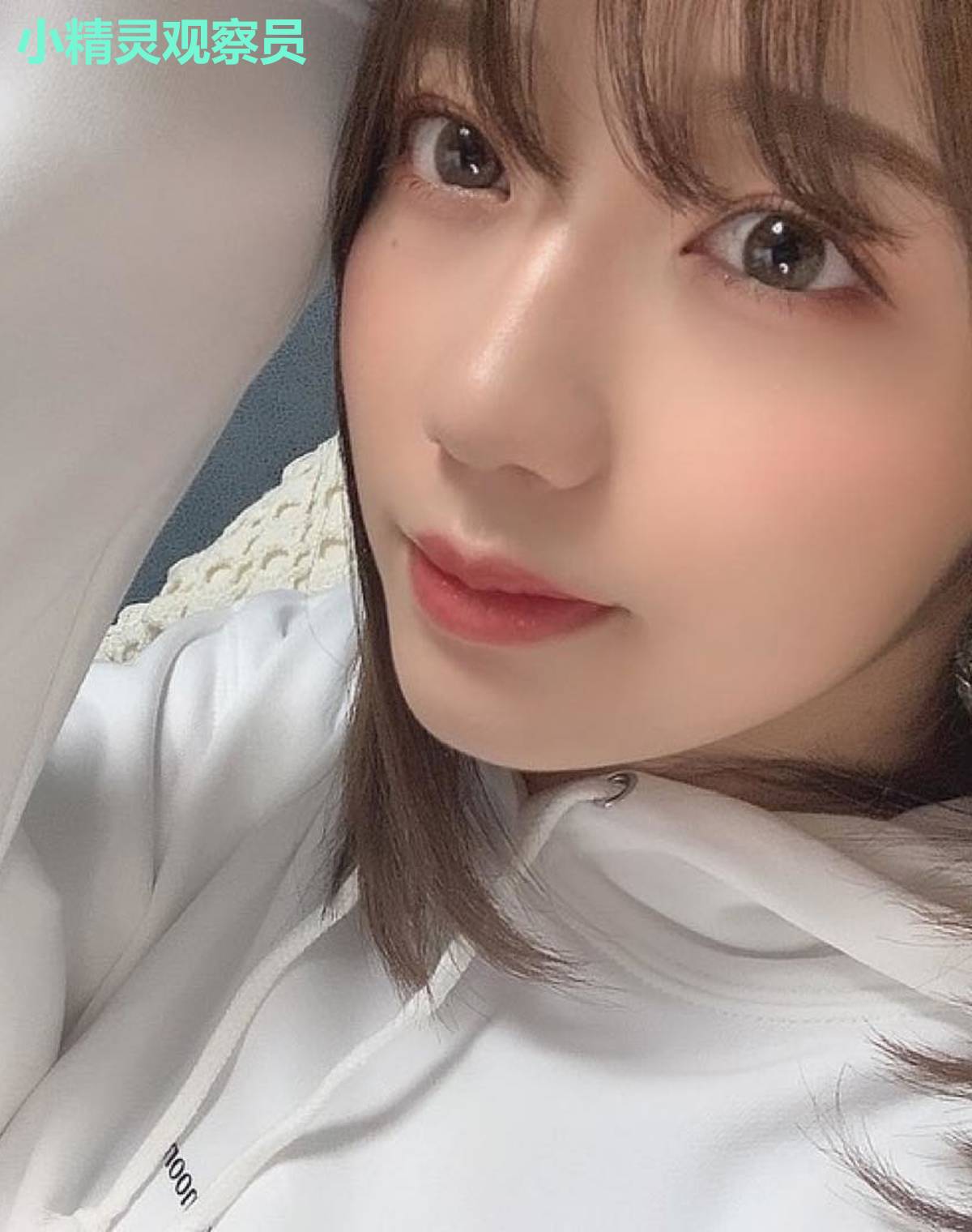 小精灵观察员