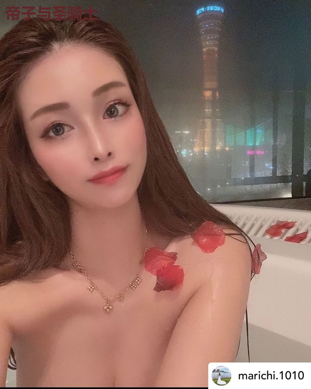 帝子与圣骑士