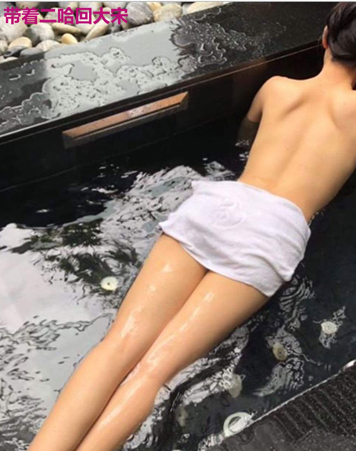 带着二哈回大宋