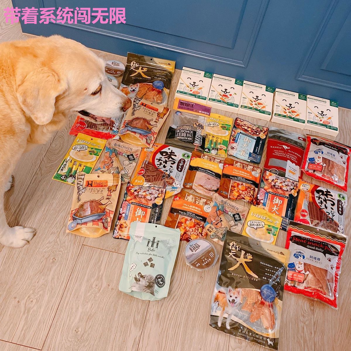 带着系统闯无限