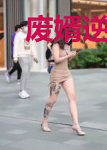 废婿逆袭之路