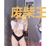 废柴王妃惹事指南