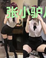 张小驴从商记
