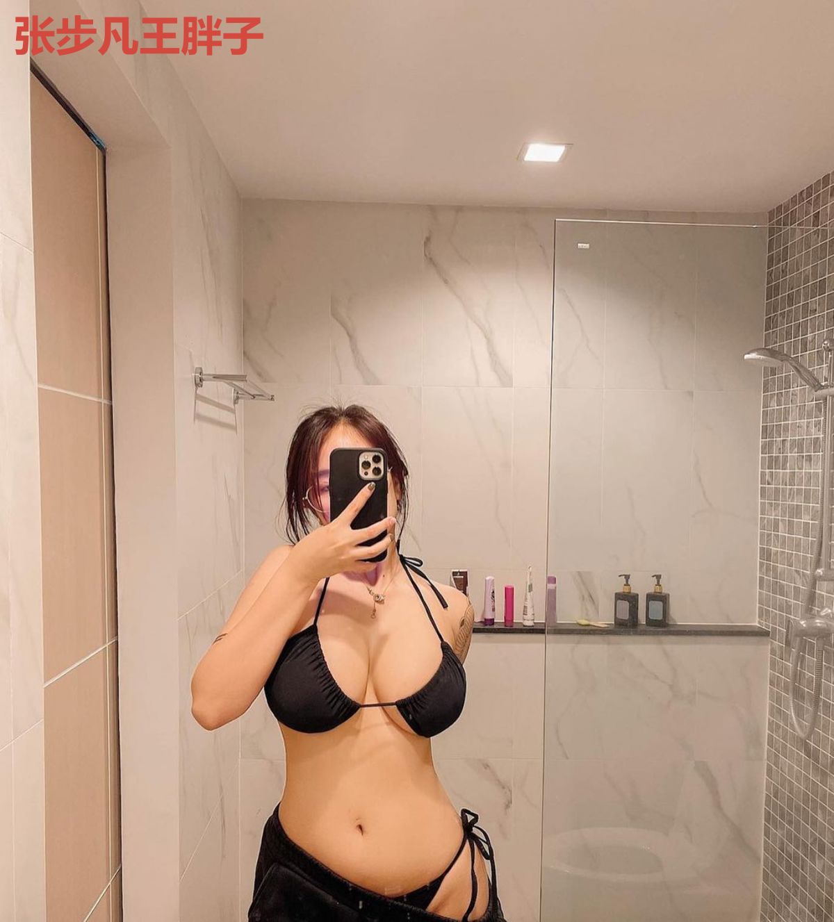 张步凡王胖子