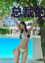 总裁的最强保镖