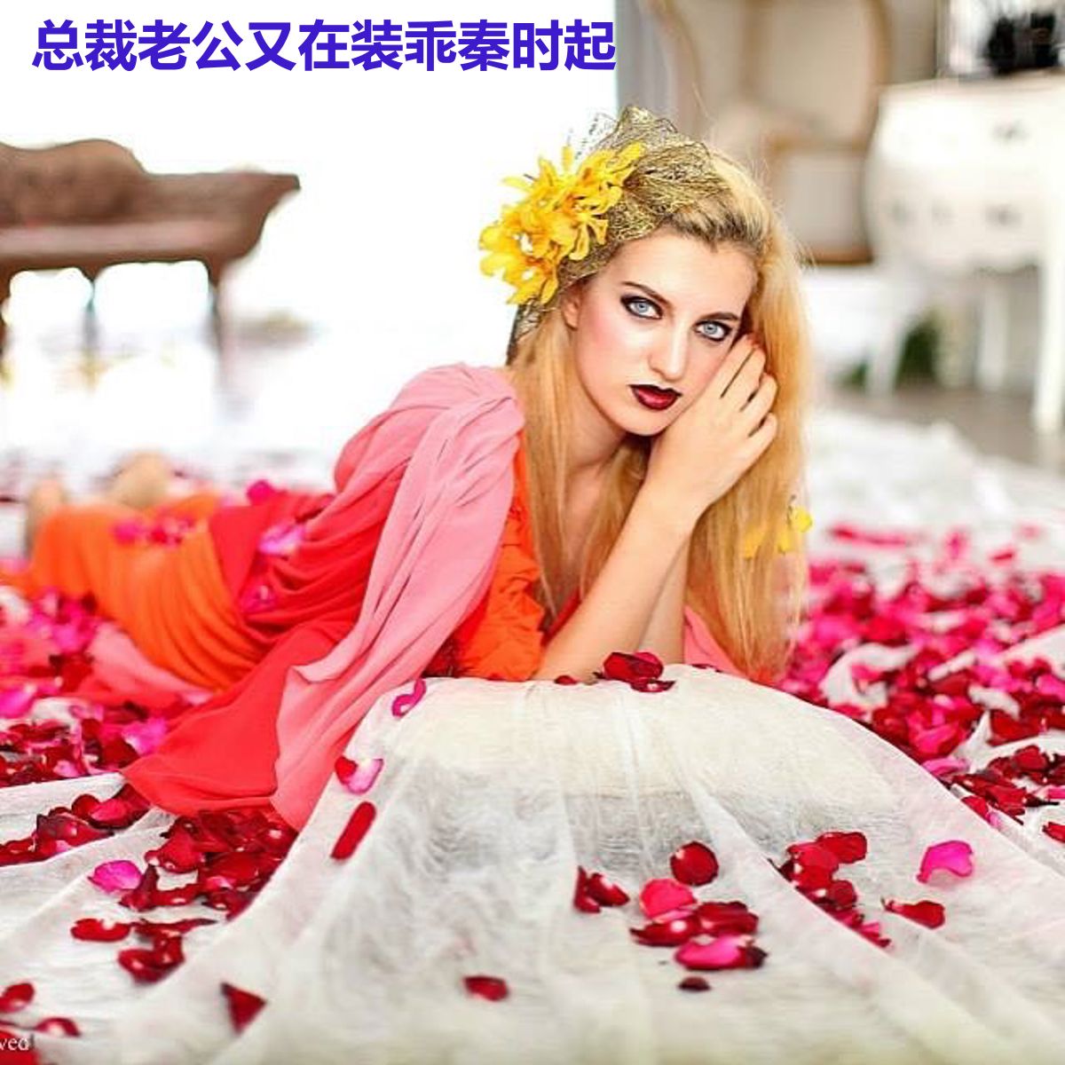 总裁老公又在装乖秦时起
