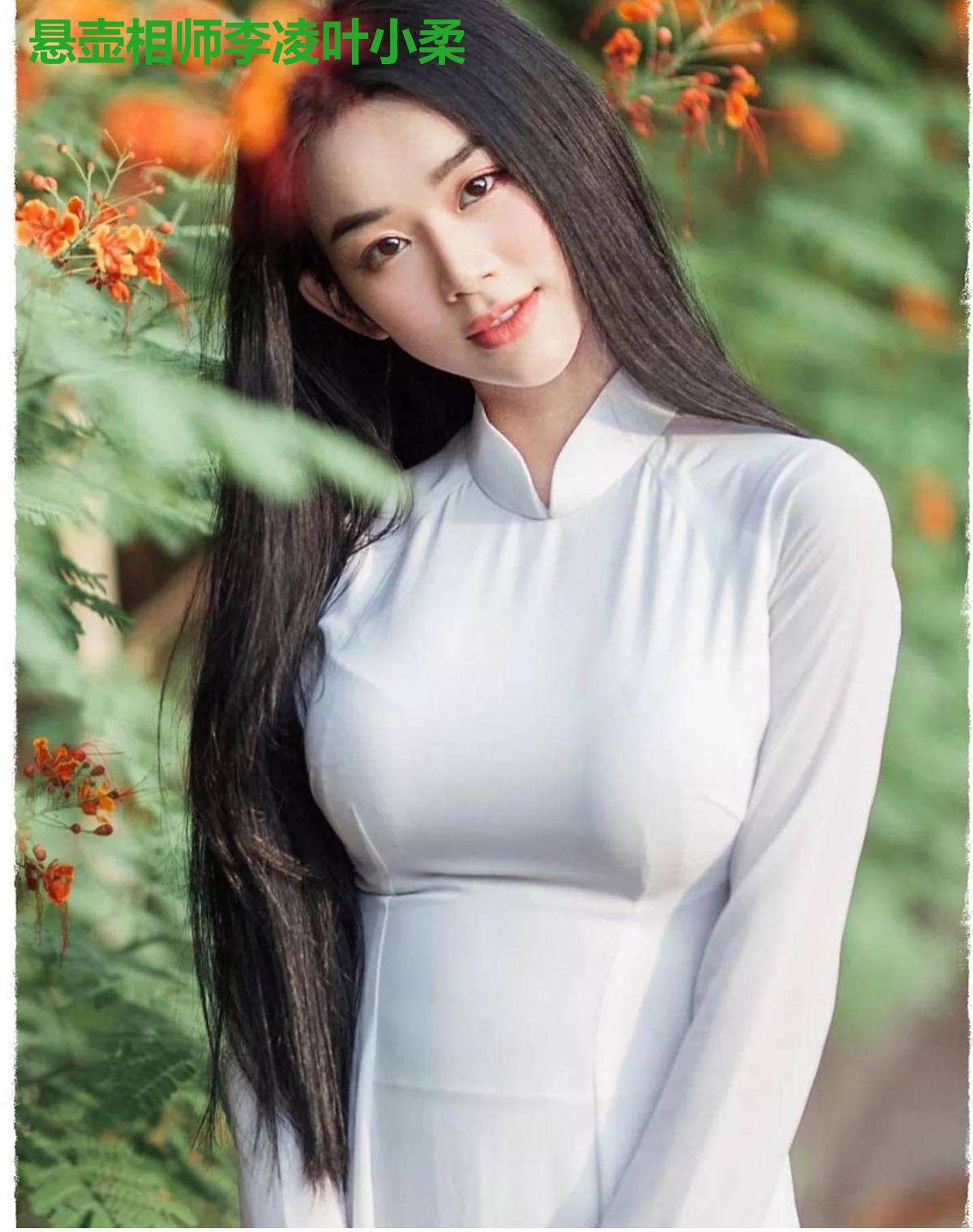 悬壶相师李凌叶小柔