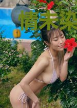 情未染霜晓云羡