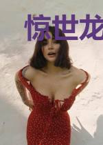 惊世龙战叶千城林胜雪