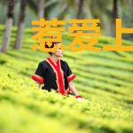惹爱上门,总裁太难缠