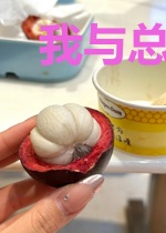 我与总裁共枕眠