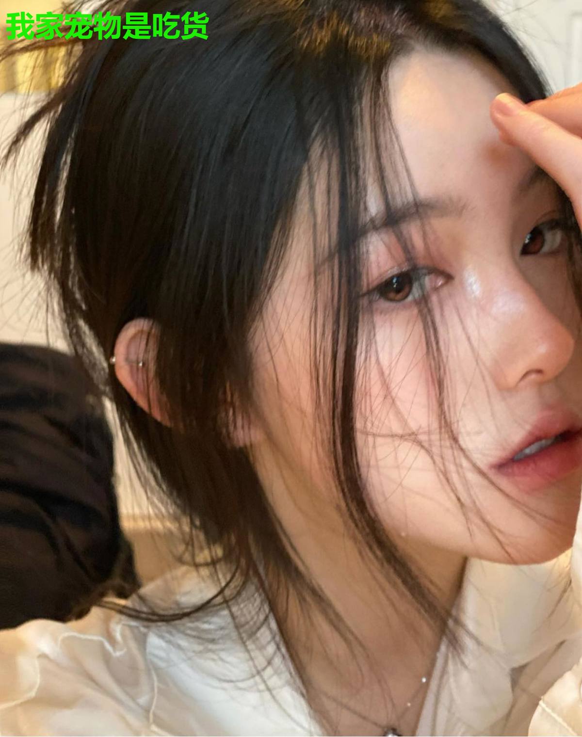 我家宠物是吃货