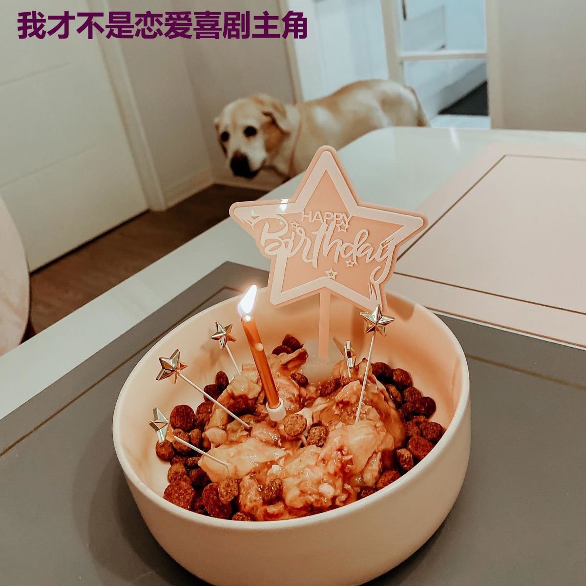 我才不是恋爱喜剧主角