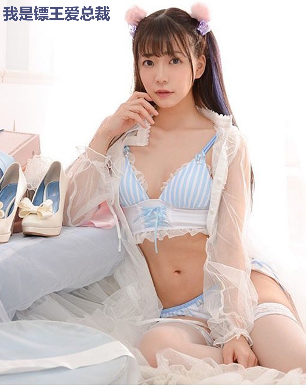 我是镖王爱总裁