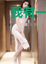 我有一本攻略秘籍