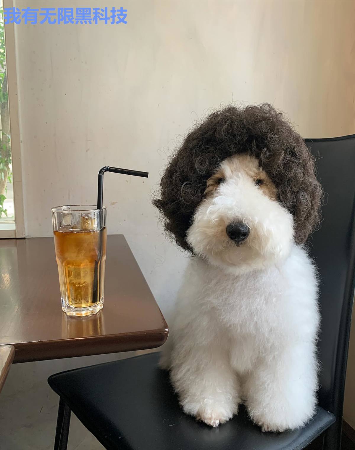 我有无限黑科技