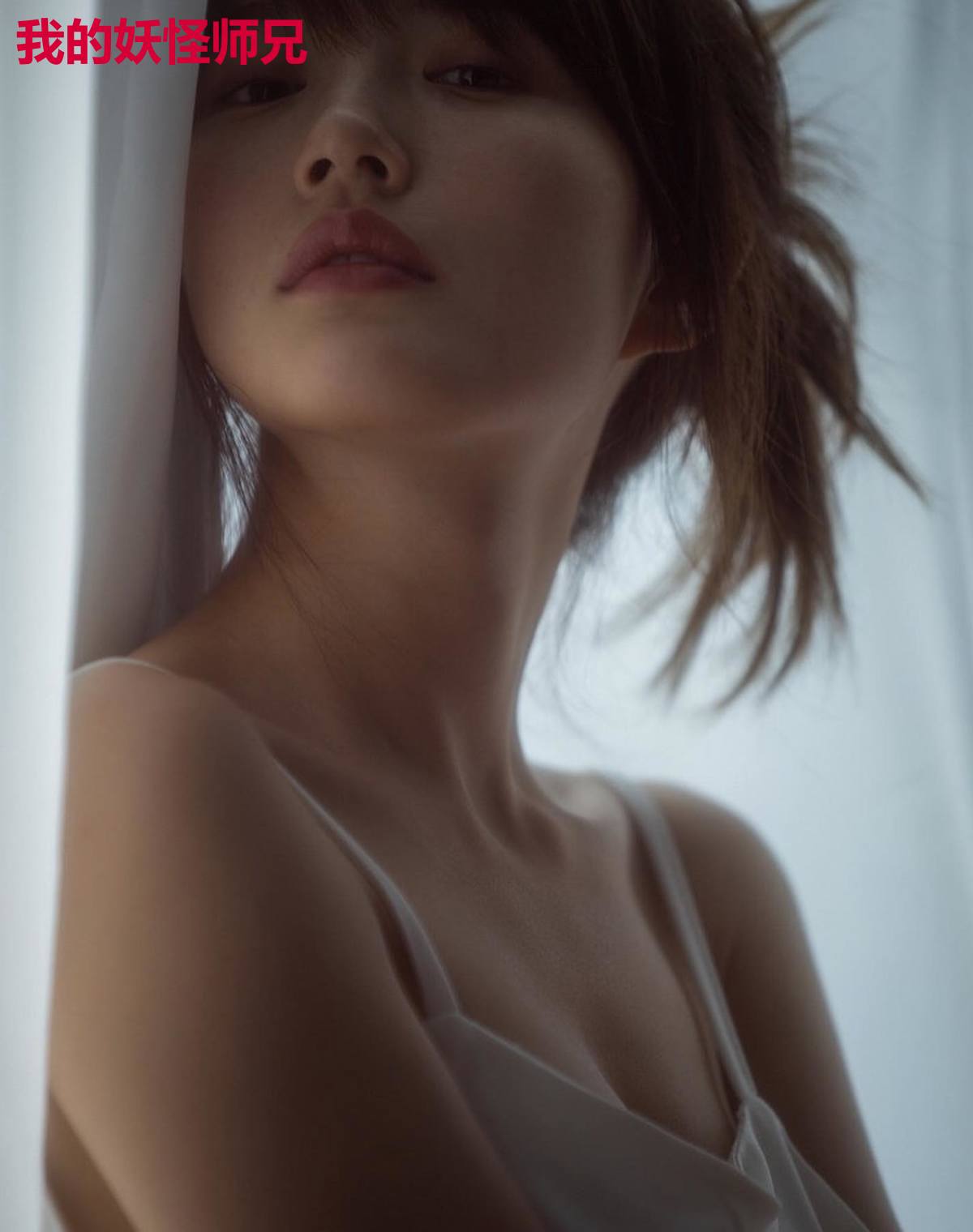 我的妖怪师兄