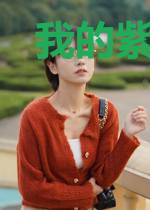 我的紫金时代