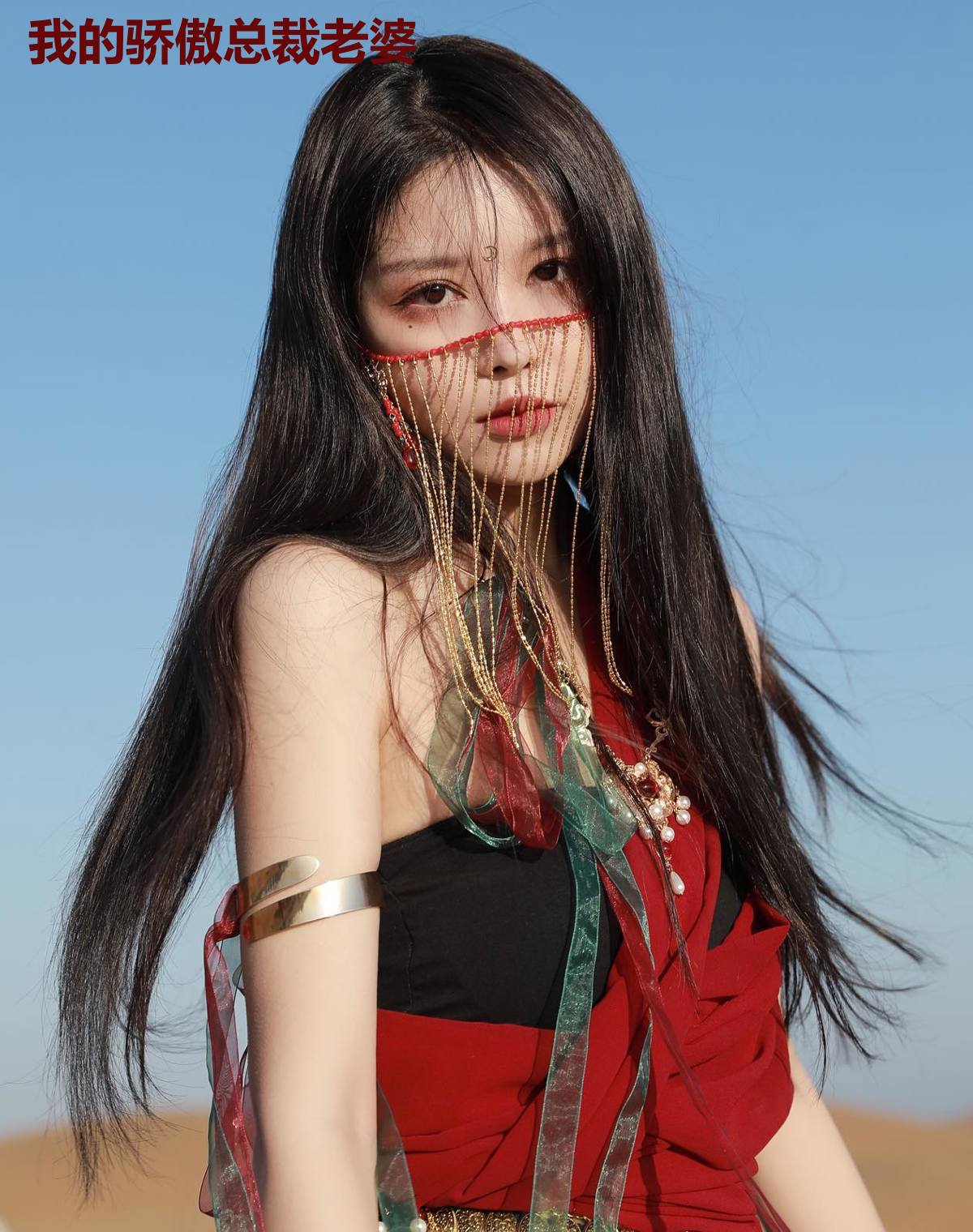 我的骄傲总裁老婆