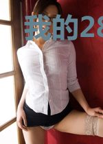 我的28岁美女老板