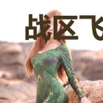 战区飞行员