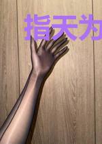 指天为誓:六宫无妃
