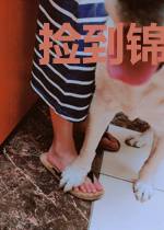 捡到锦鲤夫君