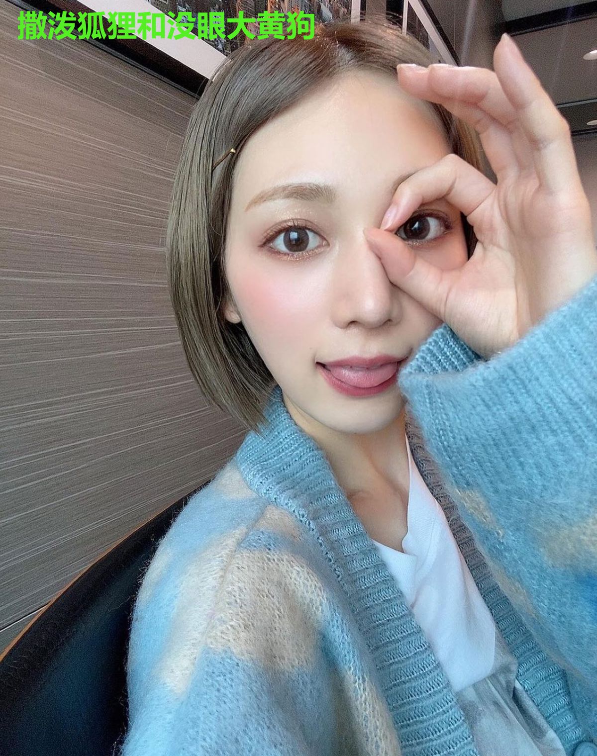 撒泼狐狸和没眼大黄狗