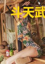 斗天武王林墨