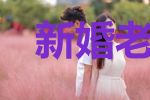 新婚老公不孕不育,我却怀孕了