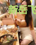 新岳飞传奇