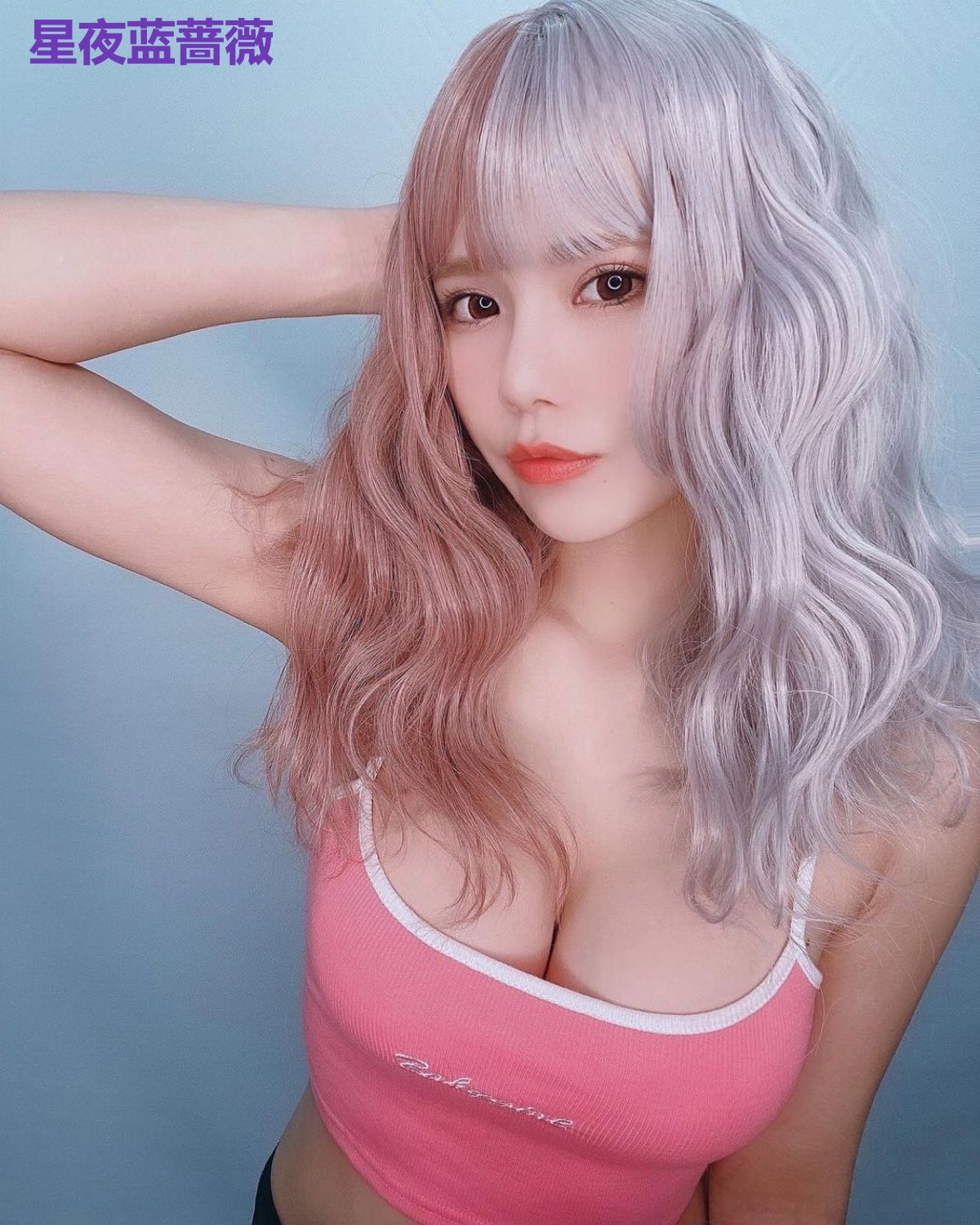 星夜蓝蔷薇