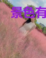 景色有微风