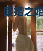 暖婚之婚天岸地