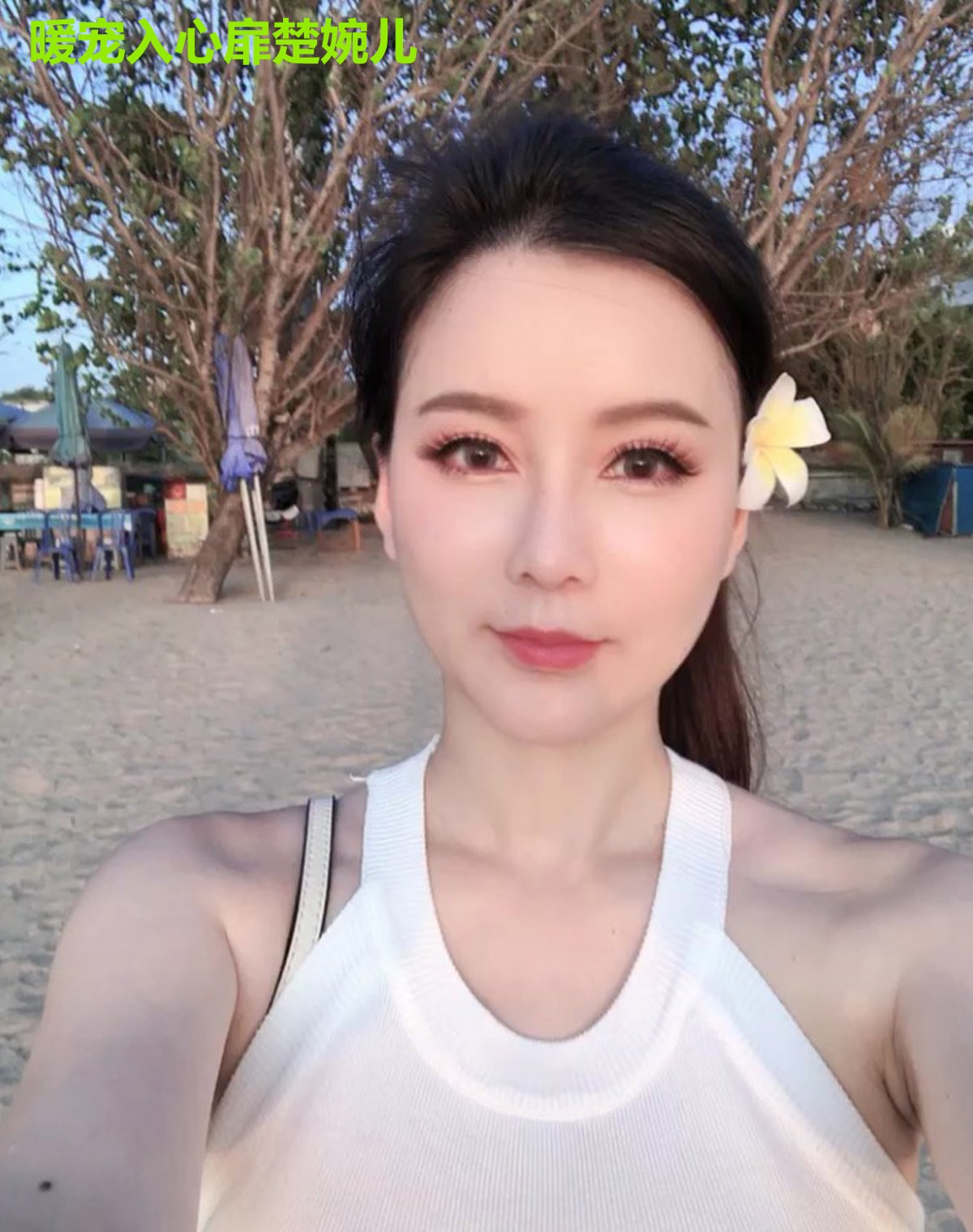 暖宠入心扉楚婉儿